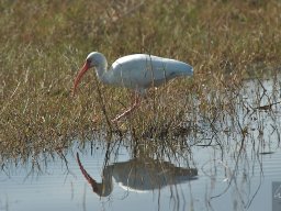 Florida_2007-2008-037